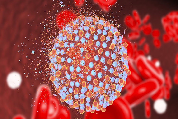 Hepatit C Yalancı Pozitiflik