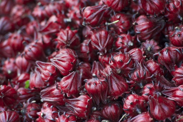 Hibiskus Nasıl Kurutulur?