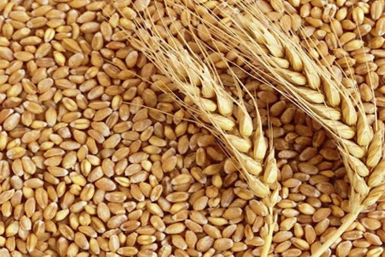 Hint Sürmesi Hastalığı Tedavisi Nedir?