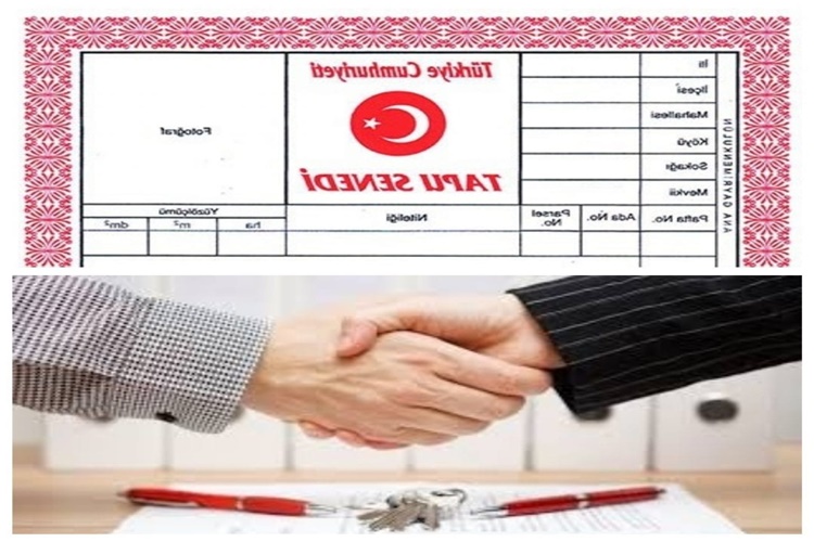 Hisseli Arsa Ayrılır mı?