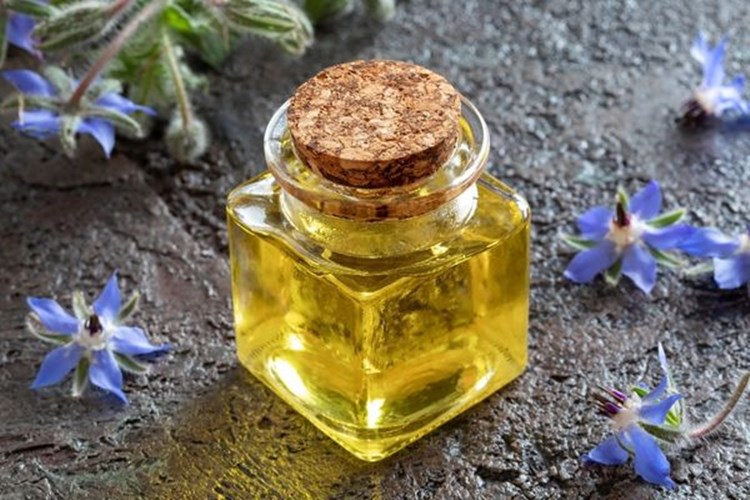 Hodan Yağı Göğüs Büyütme Yapar Mı?