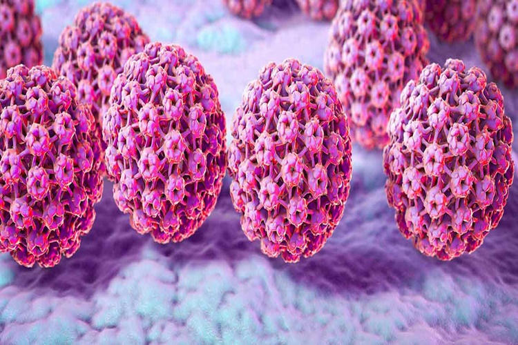 HPV 16 Tedavisi Var Mı?