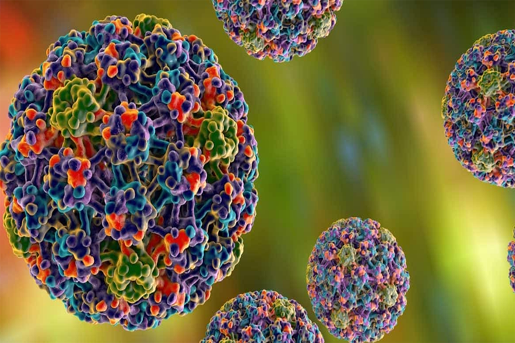 HPV’nin Tedavisi Nasıl Olur?
