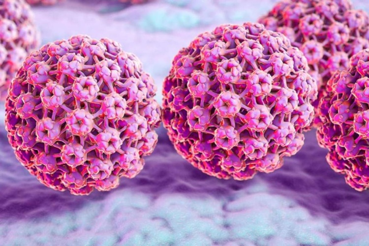 HPV Virüsü Belirtileri Nelerdir?