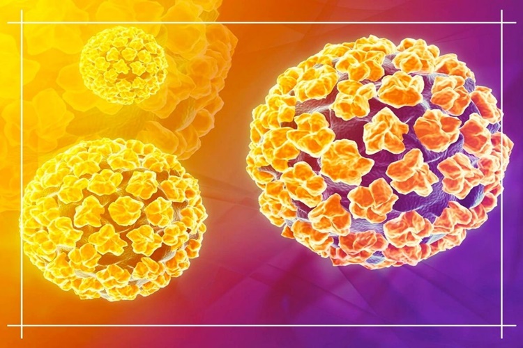 Hpv Virüsü Bulaşıcı Mıdır?