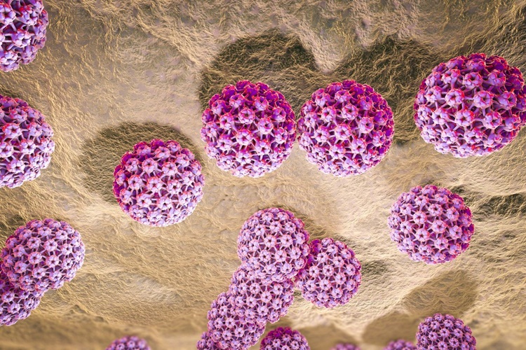 Hpv Virüsü Düşüğe Neden Olur Mu?
