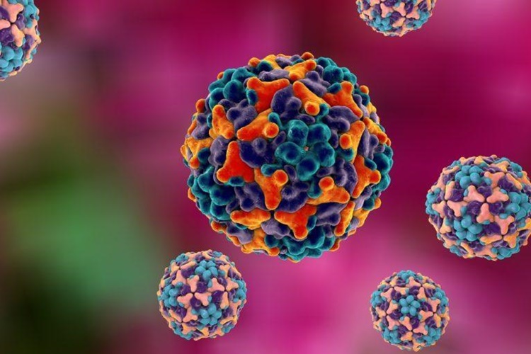 HPV Virüsü Nasıl Bulaşır?