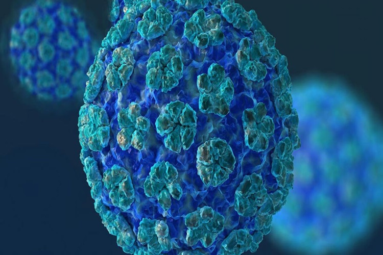 HPV Virüsü Nedir?
