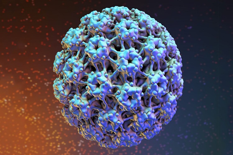 Hpv Virüsü Nelere Sebep Olur?