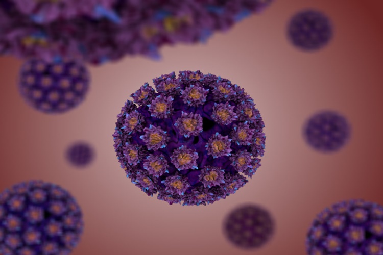 Hpv Virüsü Öldürür Mü?