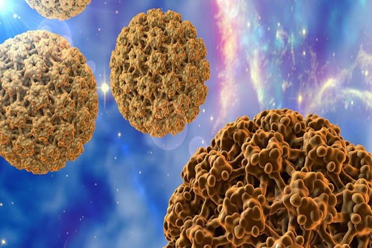Hpv Virüsü Öpüşerek Bulaşır Mı?