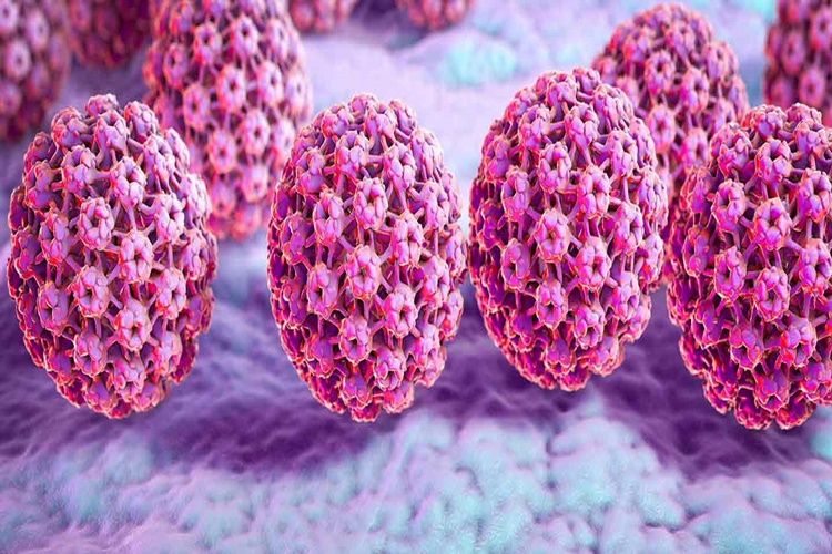 HPV Virüsünün Belirtileri Nelerdir?