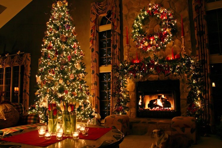 Hristiyanlar Çam Ağacını Neden Süsler?