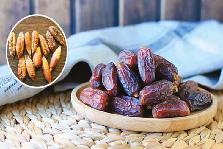 Hurma Çekirdeğinde Kafein Var Mı?