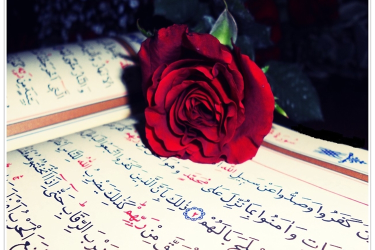 Hz. Muhammed’in Mucizesi Nedir?
