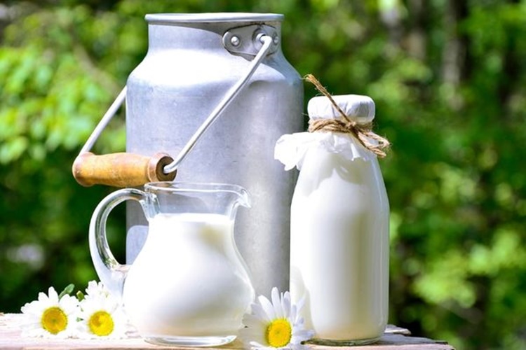 İçim Fit Protein Süt Kilo Aldırır Mı?
