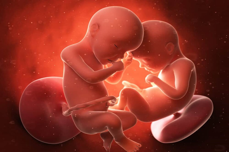 İkiz Gebelikte Bebek Hareketleri Nasıl Ayırt Edilir?