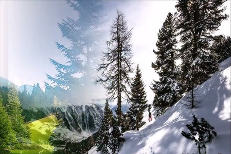 Ilgaz Anadolunun Sen Yüce Bir Dağısın Sözleri Kime Ait?