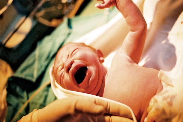 İlk Ebe Kimdir?