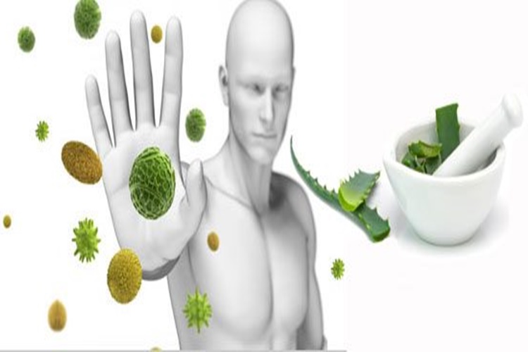 İmuneks 10 Mg Aç Mı Tok Mu Kullanılır?