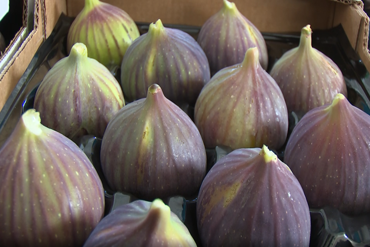 İncir Lekesi Nasıl Çıkar?