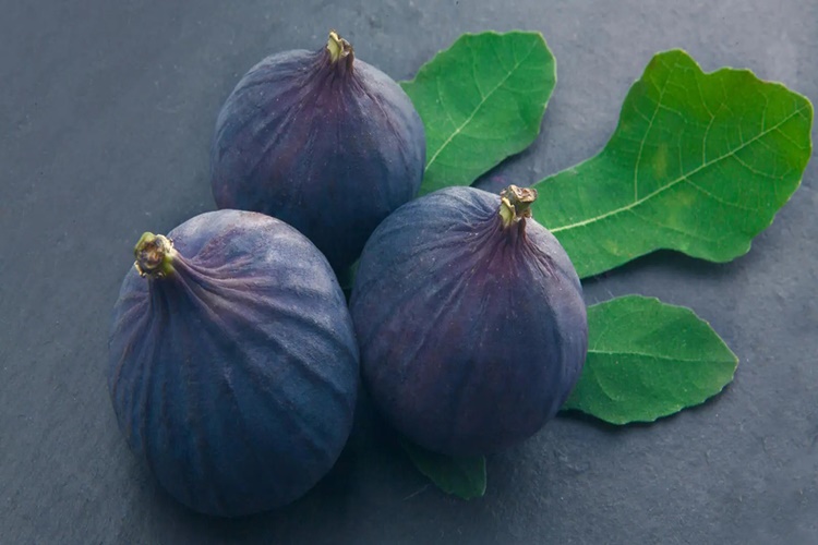 İncir Vegan Mı?