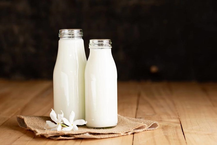 İnek Sütü Gluten İçerir Mi?