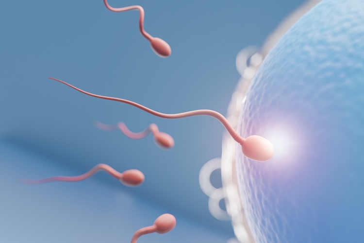 İnfertilite Tedavisi Var Mi?