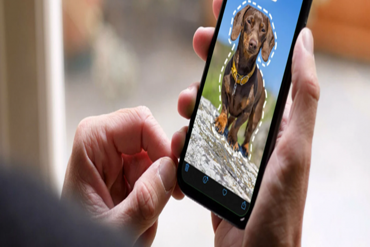 İphone Kopyalanan Fotoğraflar Nasıl Yapıştırılır?