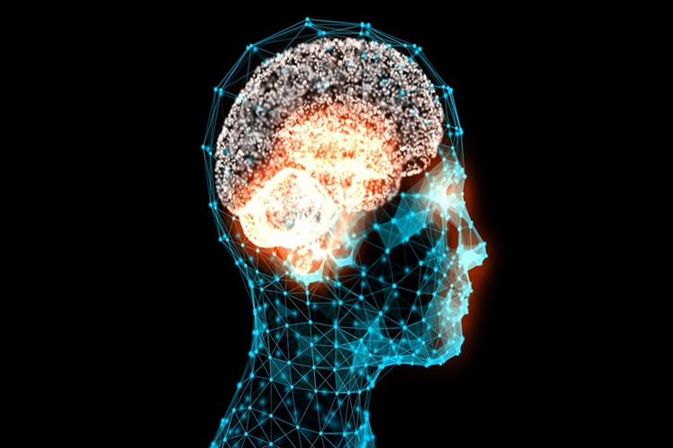 Iq Nasıl Ölçülür?