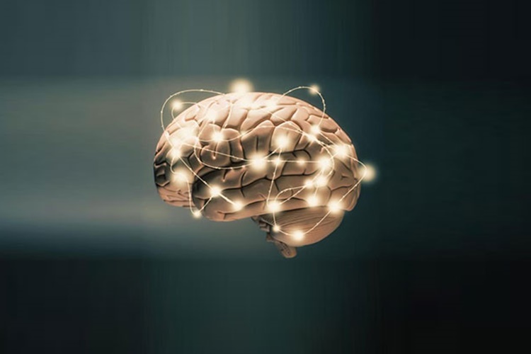 Iq Testi Nasıl Yapılır?