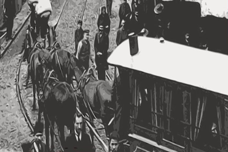 Irgatlık Neye Denir?