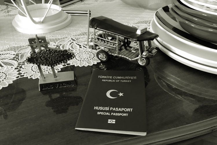 İşçi Emeklisi Yeşil Pasaport Alabilir Mi?