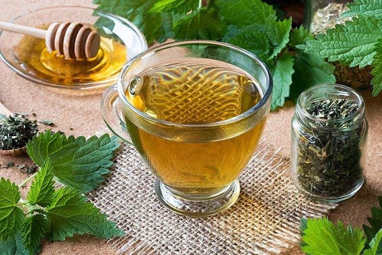 Isırgan Otu Suyu Bozulur Mu?