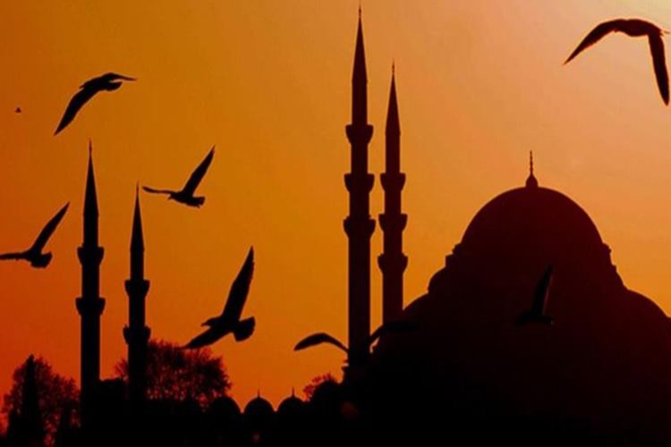 İslamiyet’e Göre Haram Olan Yiyecekler Nelerdir? 