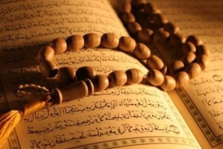 İslamiyet’te Karides Haram Mi? 