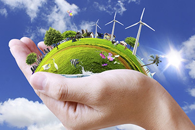ISO 14001 Çevre Yönetim Sistemi Nedir?
