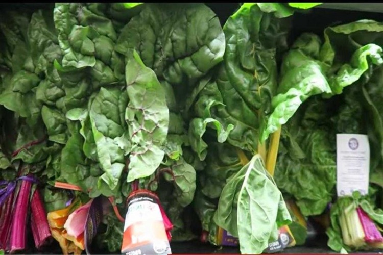 Ispanak Gluten İçerir Mi?