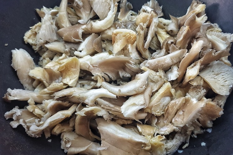 İstiridye Mantarı Işıklandırma Nasıl Yapılır?