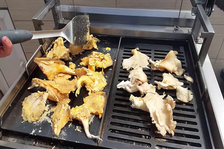 İstiridye Mantarı Küflenir Mi?