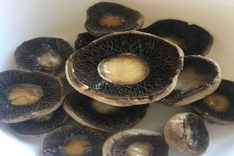 İstiridye Mantarı Sapı Yenir Mi?