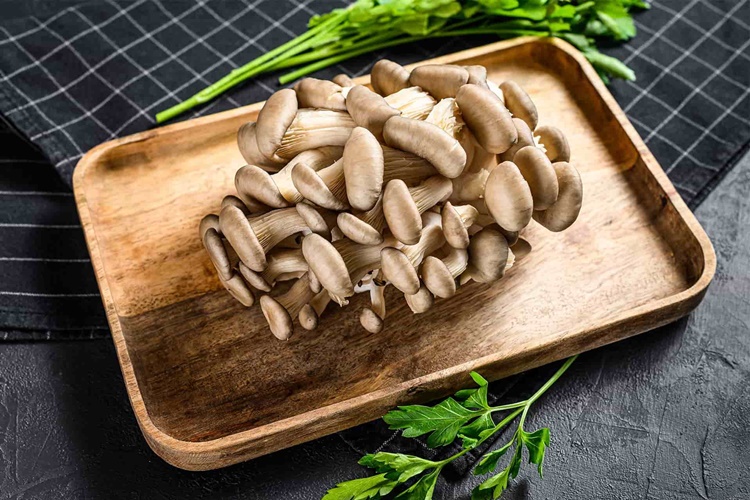 İstiridye Mantarı Yıkanır Mı?
