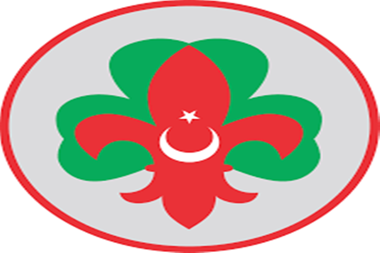 İzcilik Seviyeleri Nelerdir?