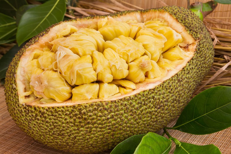 Jackfruit Türkiye'de Yetişir Mi?