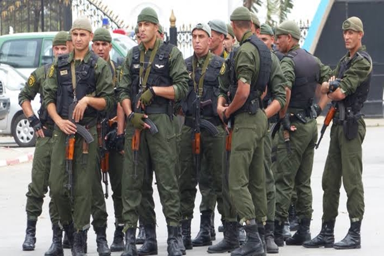Jandarma Uzman Erbaş Lisans Mezunu Ne İş Yapar?