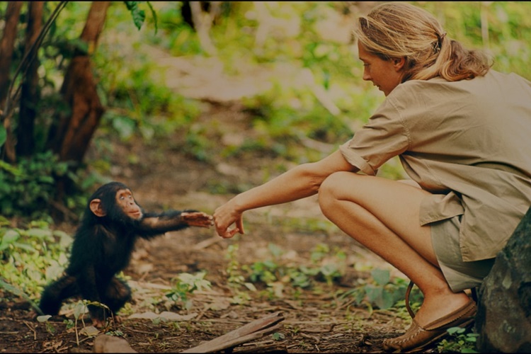 Jane Goodall Kaç Yaşında?