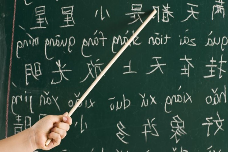 Japonca Öğrenme Süresi Nedir?