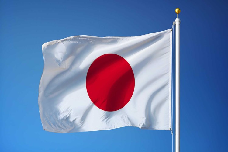 Japonlar Ne Sever?