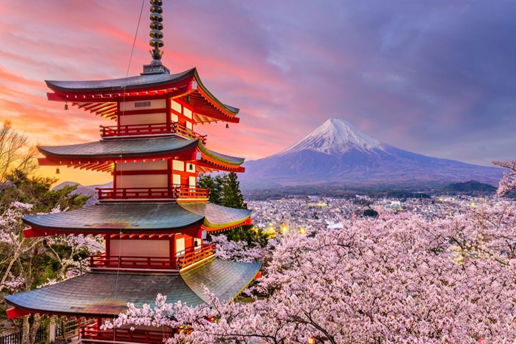 Japonya ile Ticaret Yapmak İsteyenler Nereye Başvurmalı? 