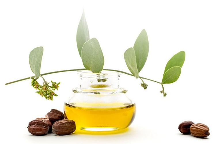 Jojoba Yağı Ciltte Nasıl Kullanılır?